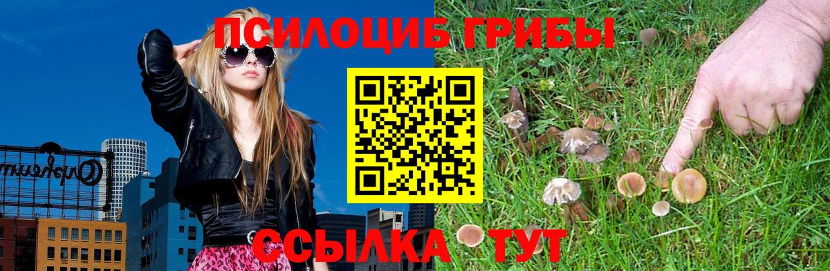 купить наркотик  Галлюциногенные грибы Cubensis  Вход с VPN  Уссурийск  Галлюциногенные грибы Psilocybine cubensis 